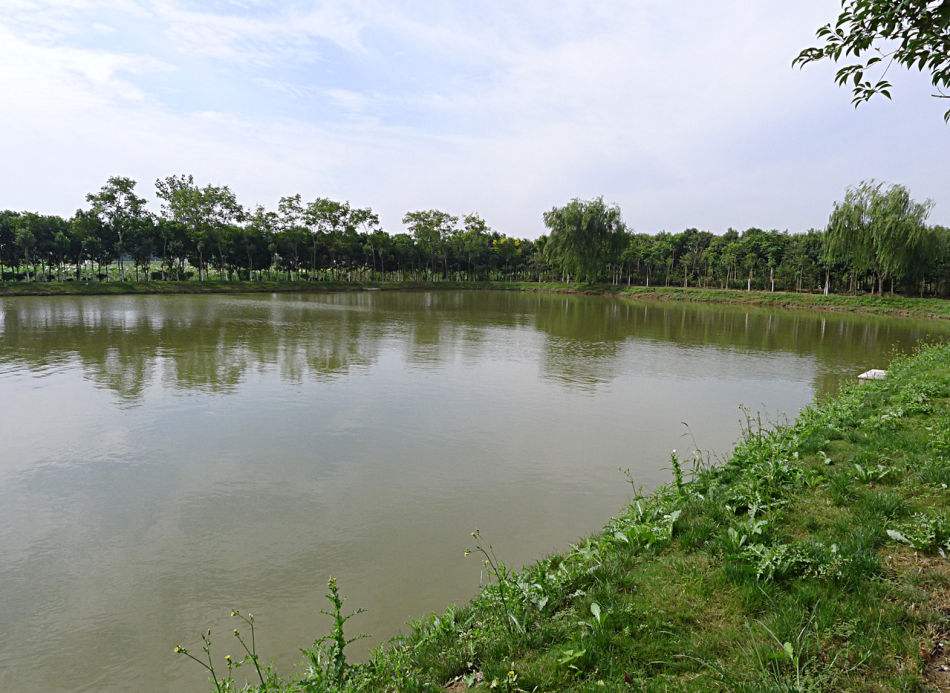 留車鎮(zhèn)陂下村櫻花谷水保生態(tài)示范園建設工程